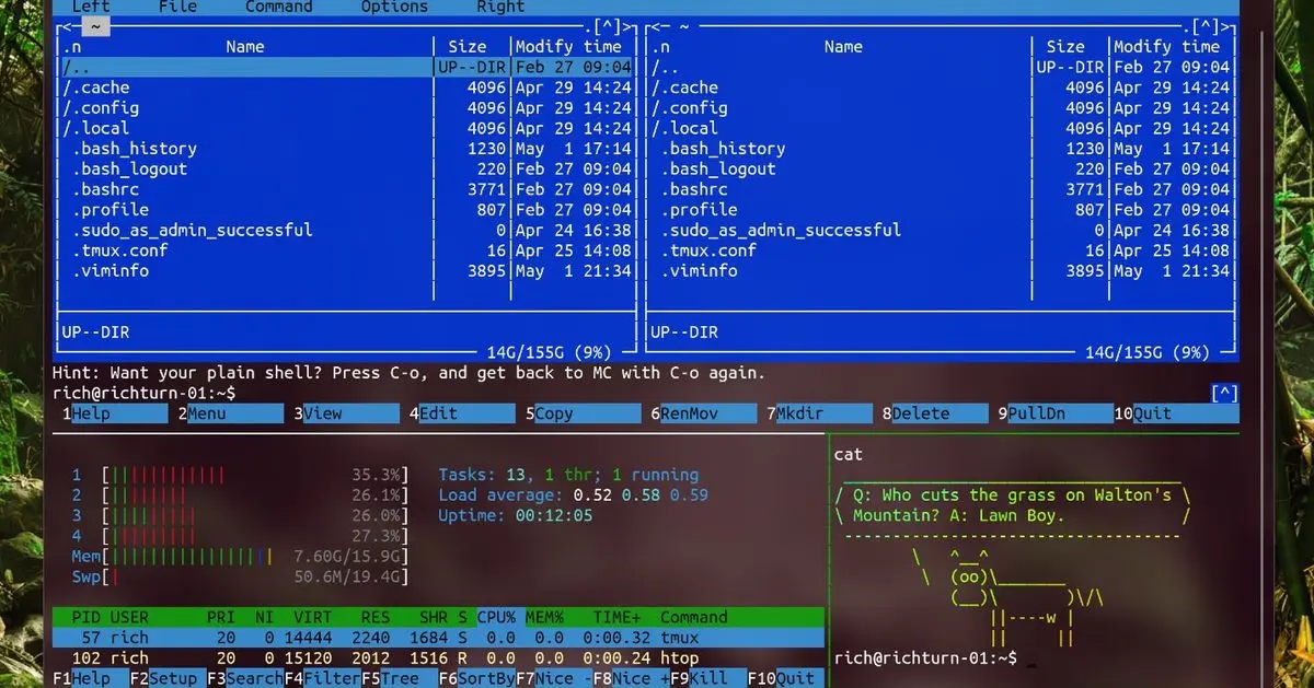src-TVRZNMTY4NDc0ODk3NgaHR0cHM6Ly9zdGF0aWMub3NjaGluYS5uZXQvdXBsb2Fkcy9pbWcvMjAxOTA1LzA3MDY1NjI5X0N3RXouanBn.webp.jpg