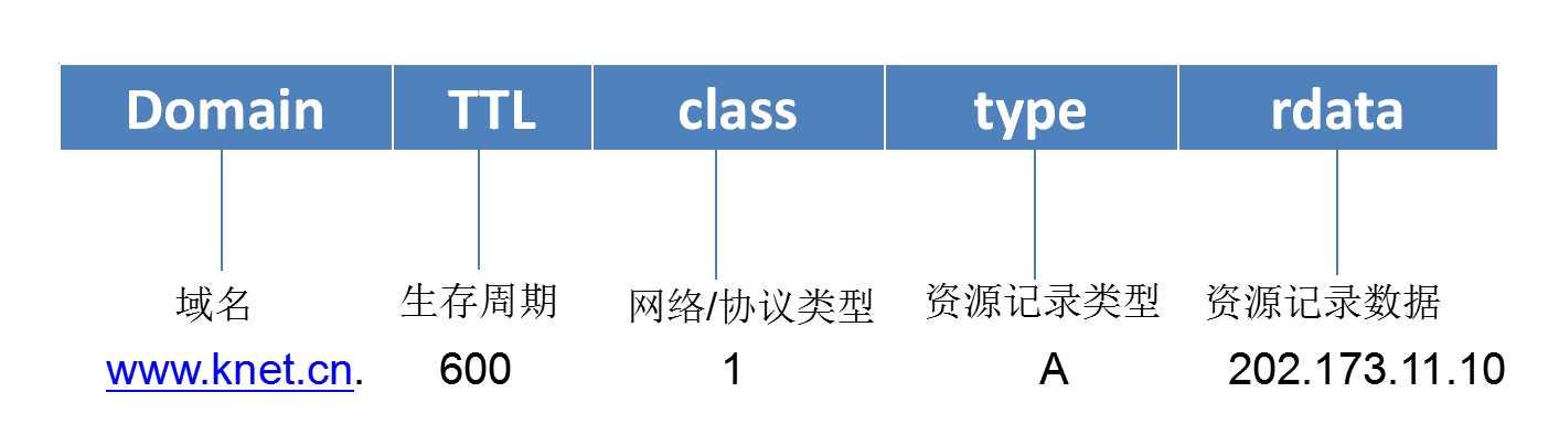15453232.jpg