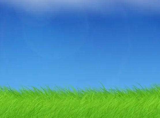 7819c6.png