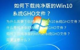 807.jpg