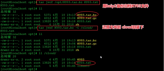 eC1vc3MtcHJvY2Vzcz1pbWFnZS93YXRlcm1hcmssdHlwZV9abUZ1WjNwb1pXNW5hR1ZwZEdrLHNoYWRvd18xMCx0ZXh0X2FIUjBjSE02THk5aWJHOW5MbU56Wkc0dWJtVjBMM05vWlc1bmFtbGxPRGM9LHNpemVfMTYsY29sb3JfRkZGRkZGLHRfNzA=.webp.jpg