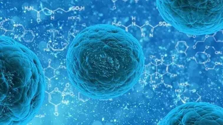 血液科常见的5大疾病_血液科的常见病_血液病科常见病种