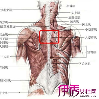 后背左边疼痛呼吸也疼_深呼吸左后背疼怎么办_左后背痛呼吸难受怎么办