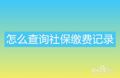 赤峰社保查询个人账户_赤峰社保查询系统_赤峰社保查询