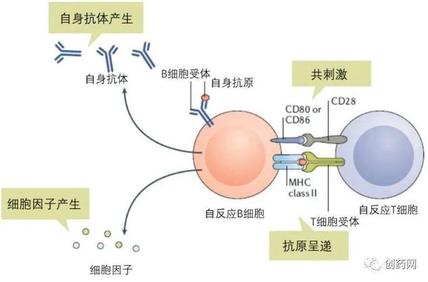 克罗恩病诊断//.l_克罗恩病诊断//.l_克罗恩病诊断//.l