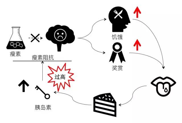 接收机的原理_接收原理机工作过程_接收机工作原理
