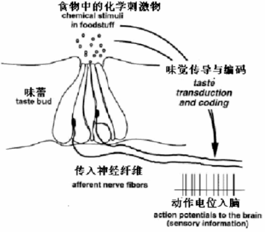 接收原理机工作过程_接收机的原理_接收机工作原理