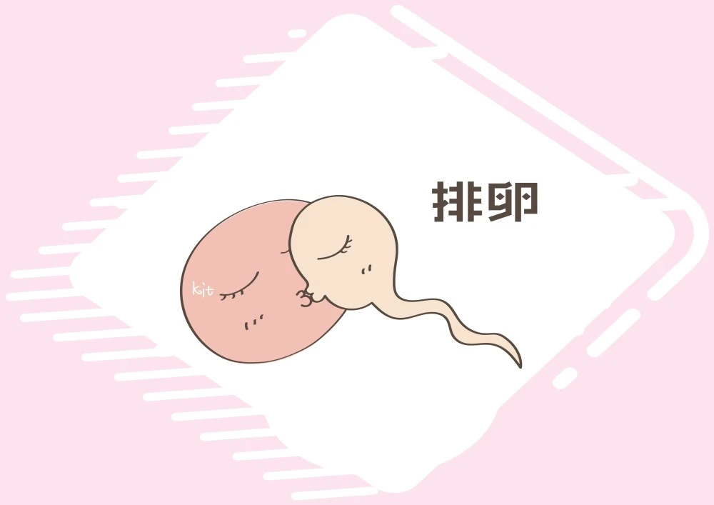 怀孕女人梦见蛇是什么预兆_女人怎样怀孕_怀孕女人奶头疼是什么情况