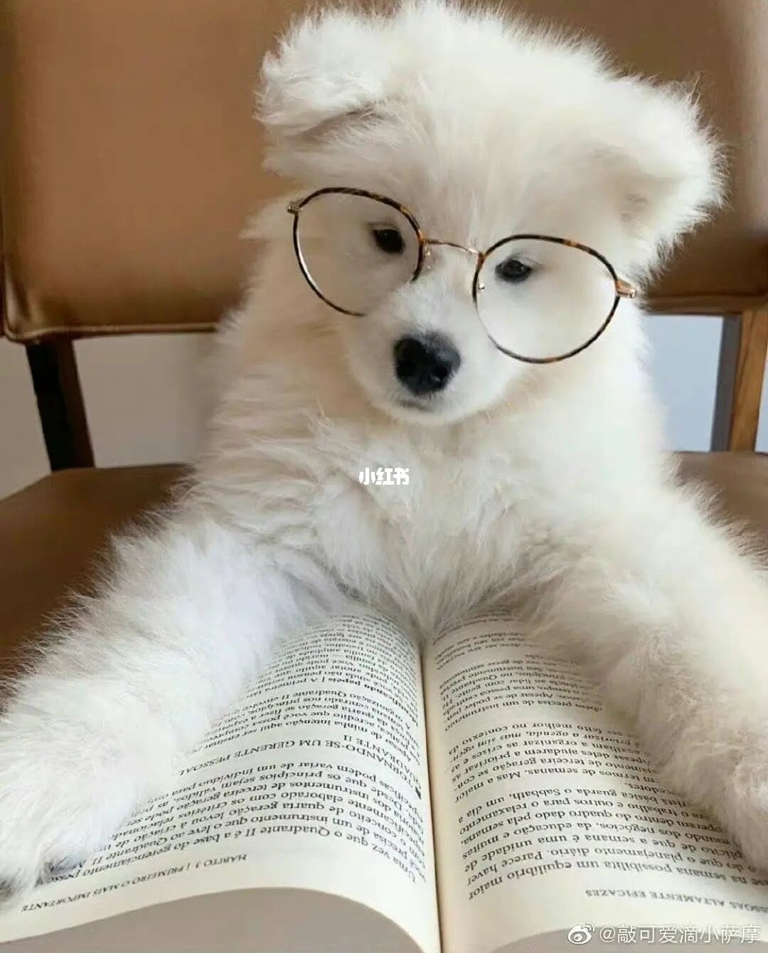 图书软件下载_图书软件哪个好_图书软件哪
