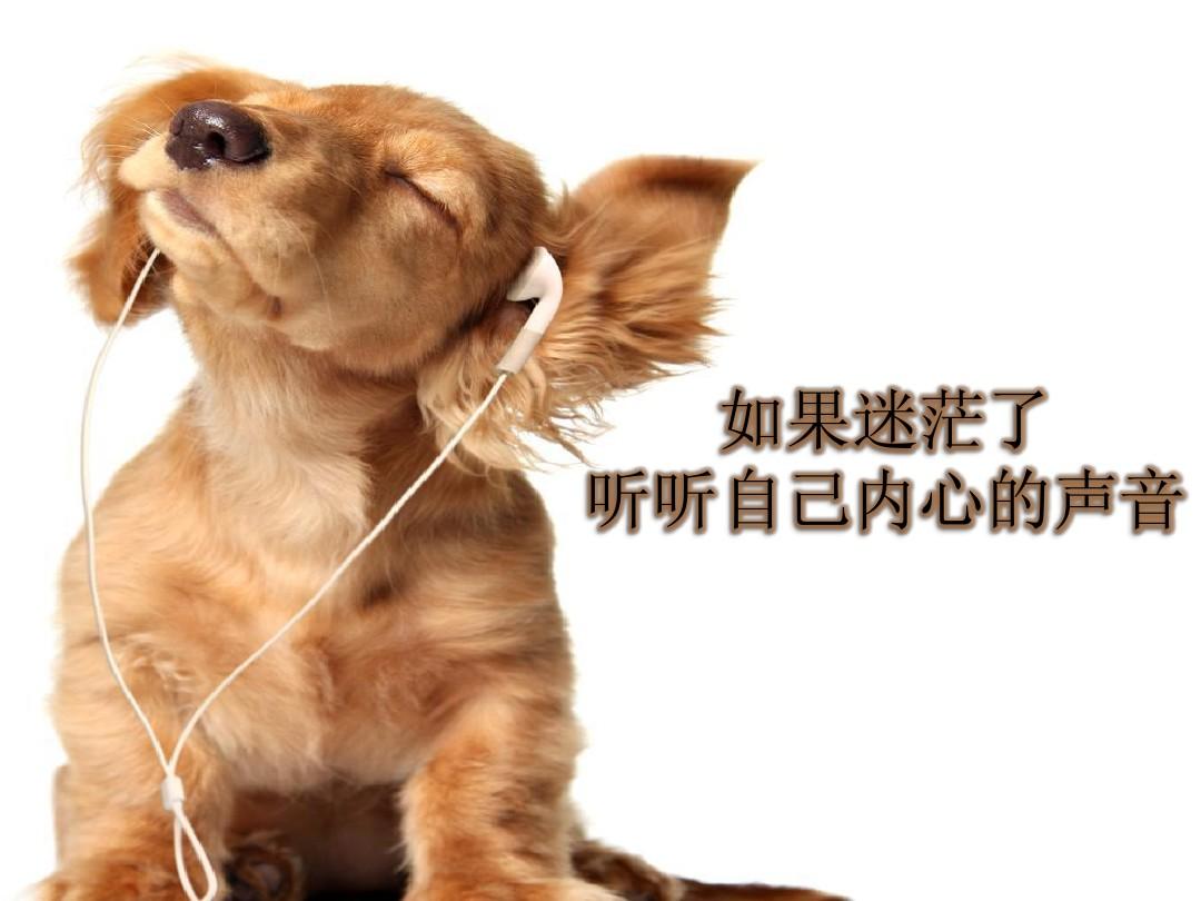 路口导向线看不清_路口导向线干嘛的_路口导向线视频