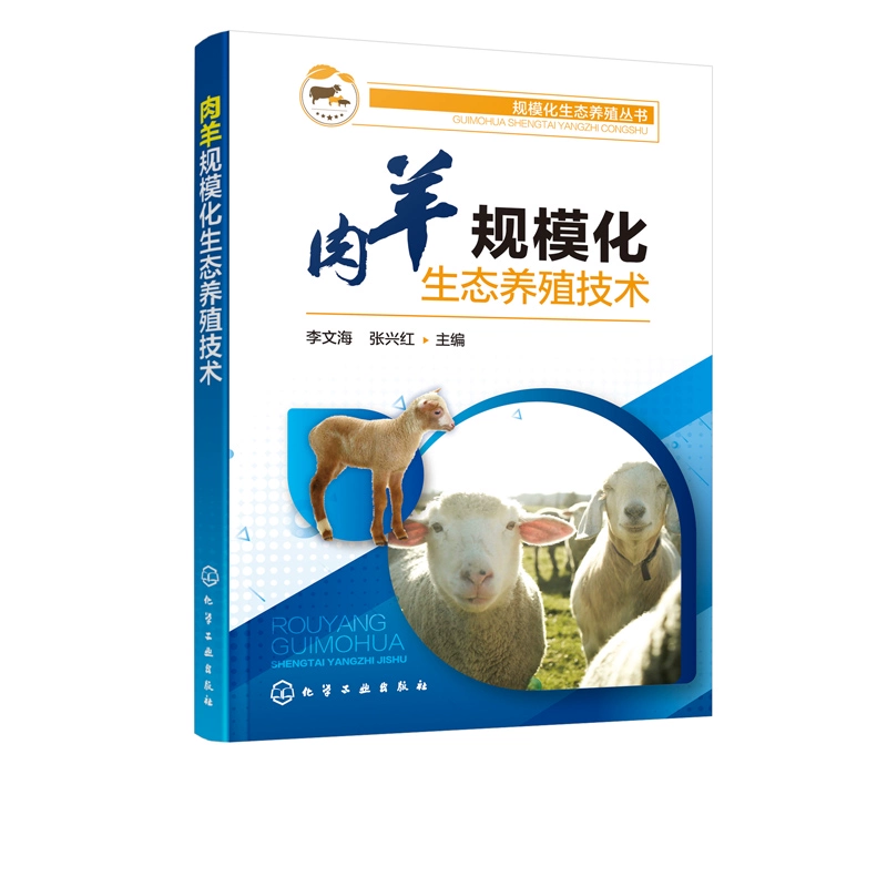 肉羊养殖新技术_养殖高效肉羊健康吗_肉羊健康高效养殖