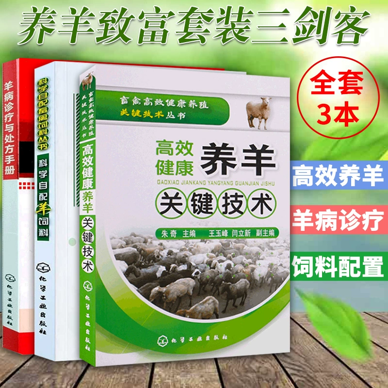 养殖高效肉羊健康吗_肉羊养殖新技术_肉羊健康高效养殖