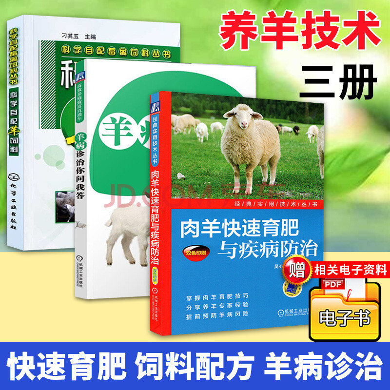 养殖高效肉羊健康吗_肉羊养殖新技术_肉羊健康高效养殖