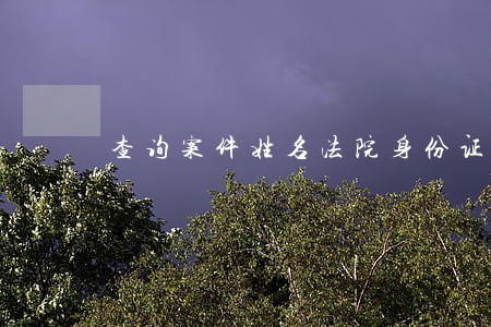 法院能否查询个人手机信息_法院能通过身份证查个人电话吗_法院能通过手机号码查身份证号吗