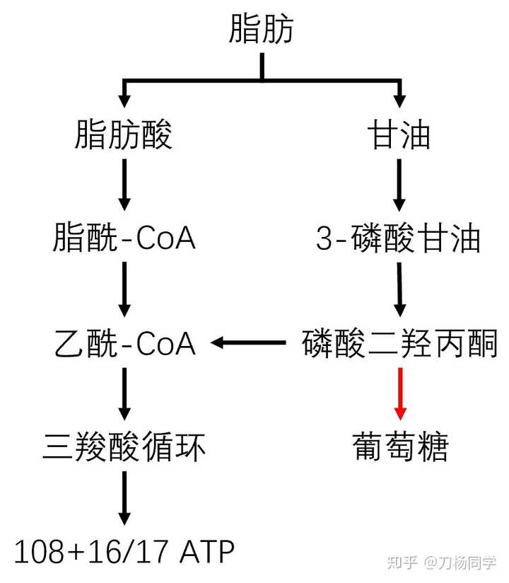 减肥呼吸法_深呼吸能减肥吗_减肥呼气吸气