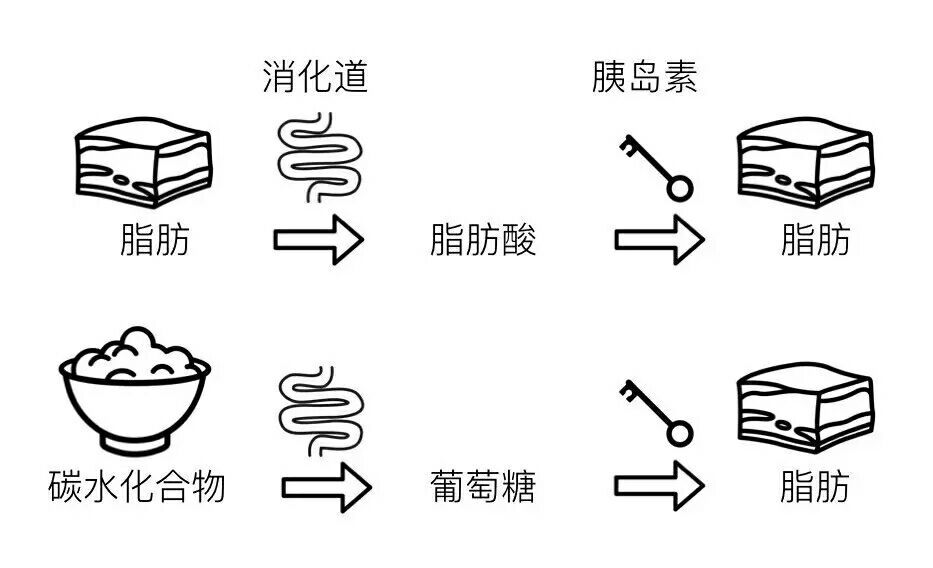 减肥呼吸法_深呼吸能减肥吗_减肥呼气吸气