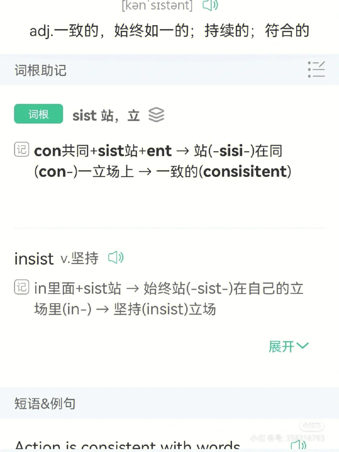 tp钱包助记词在哪里_钱包记助词忘记了怎么办_钱包助记词表