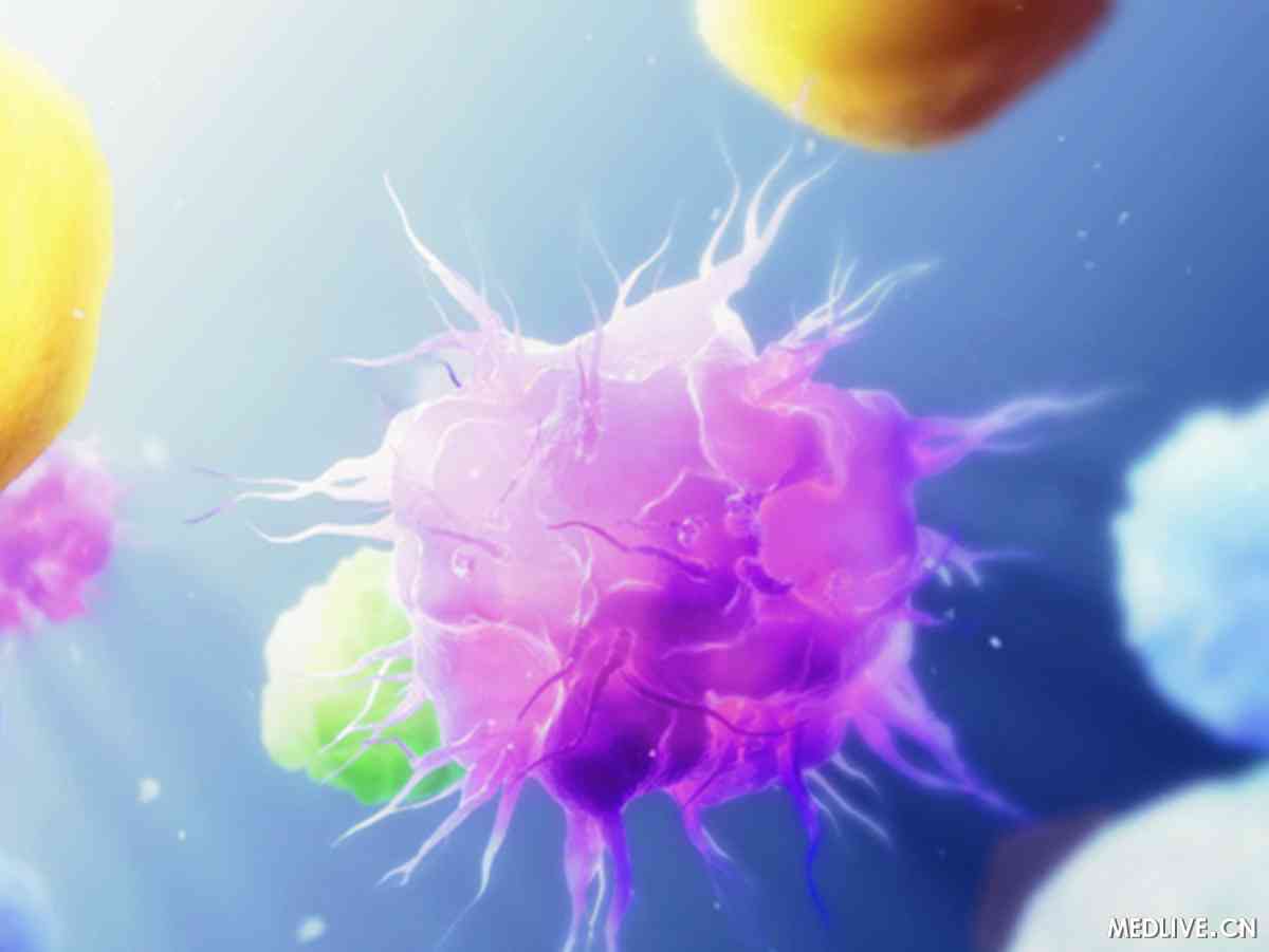 白血病化疗后能活多久_白血病化疗回家能正常生活吗_白血病化疗后可以马上出院吗