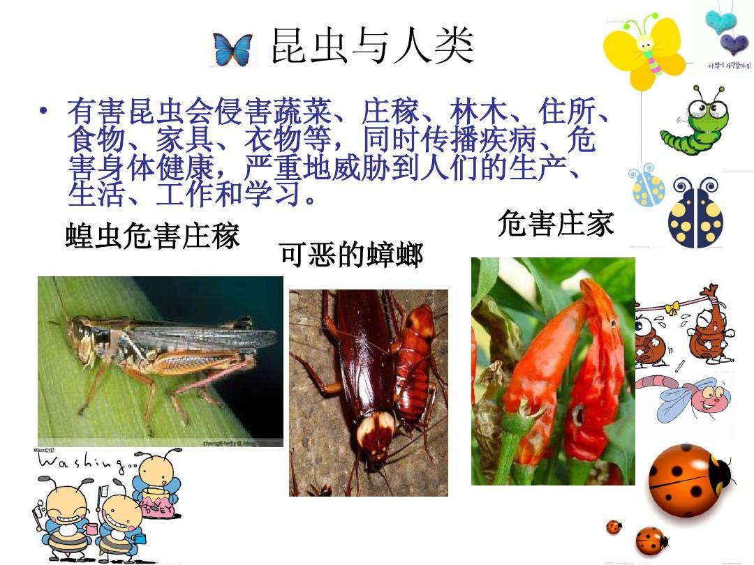 ecosystem accordance_ecosystem accordance_ecosystem accordance