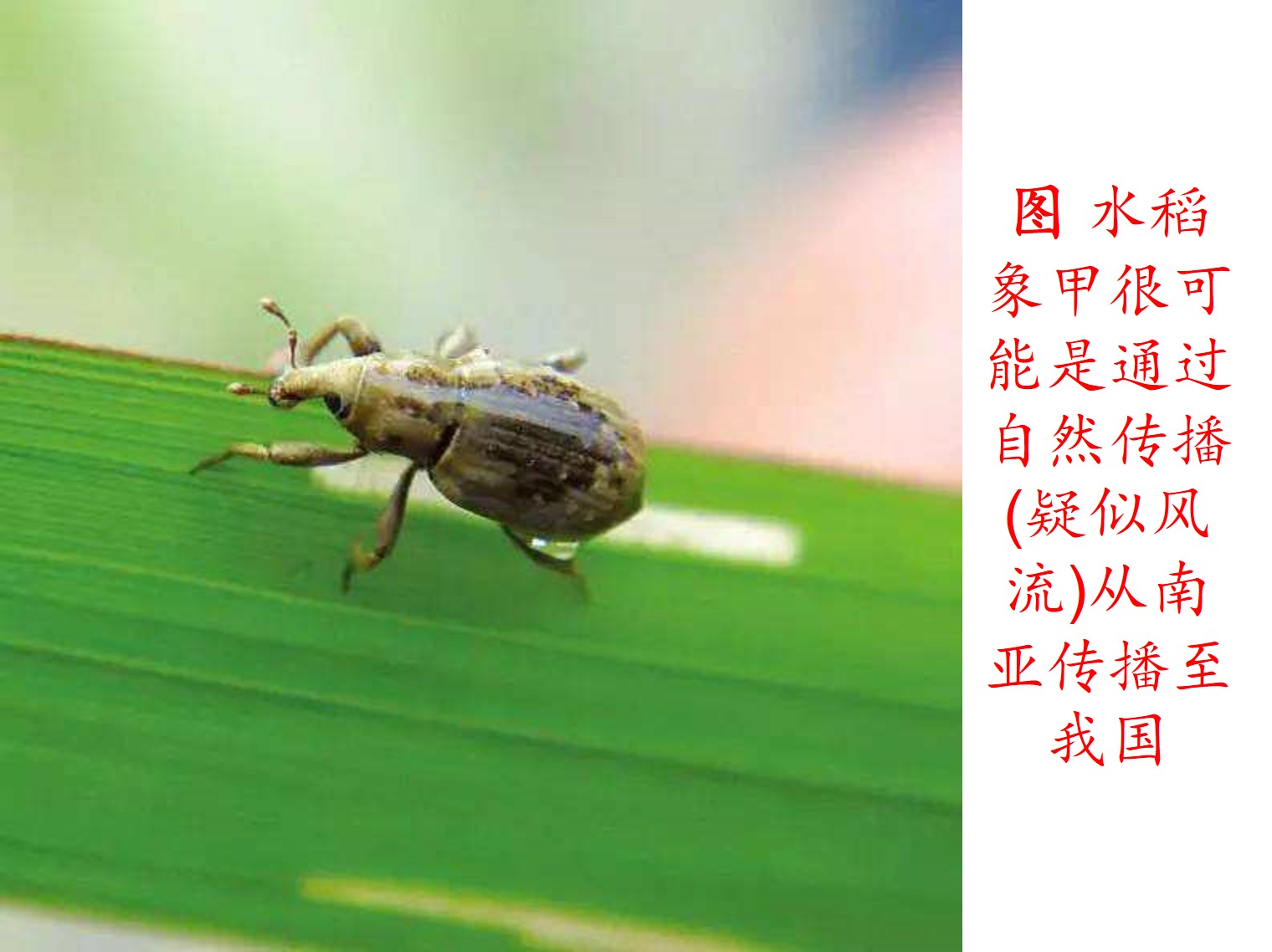 ecosystem accordance_ecosystem accordance_ecosystem accordance
