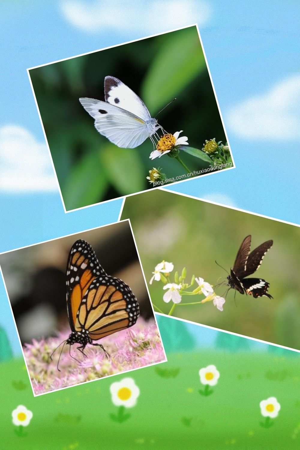 ecosystem accordance_ecosystem accordance_ecosystem accordance