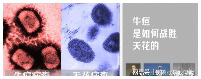 犇牛病毒专杀工具_病毒牛肉_犇牛病毒lpk.dll