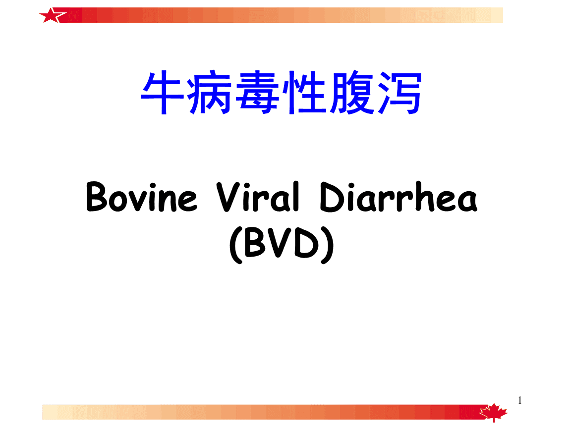 病毒牛肉_犇牛病毒lpk.dll_犇牛病毒专杀工具
