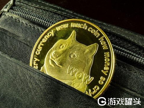 狗狗币钱包怎么取出狗狗币_tp钱包使用教程怎么存狗狗币_狗狗币钱包安装教程