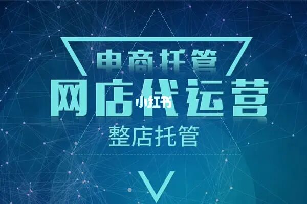 shopex网店主机_网店主机为什么便宜_网店主机配置