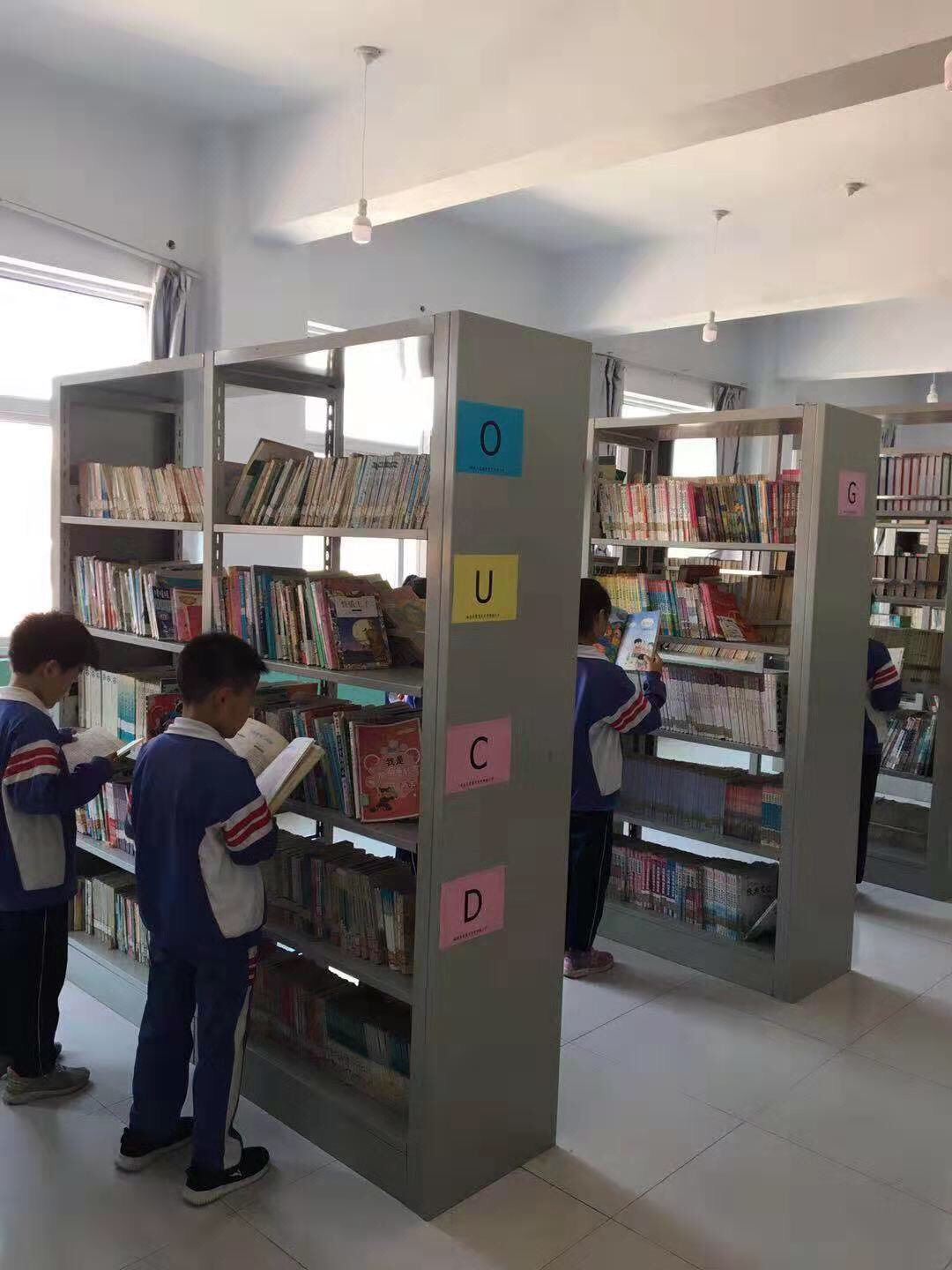 图书规章制度小学_小学图书管理制度_规章图书制度小学生怎么写