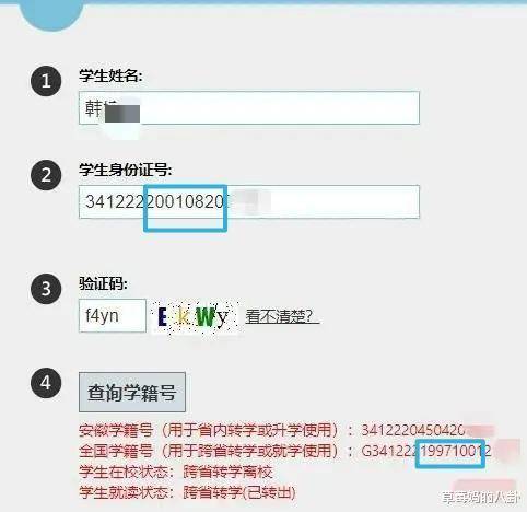 绑定网易证查询身份证号码_网易身份证绑定查询_网易账号身份认证信息怎么查