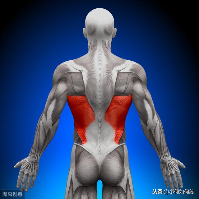 后背肩胛骨疼呼吸困难_深呼吸肩胛骨后背疼_后背疼骨呼吸肩胛骨疼痛