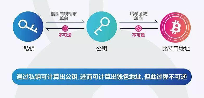 钱包导出私钥_钱包公钥用来做什么的_tp钱包公钥在哪里导出