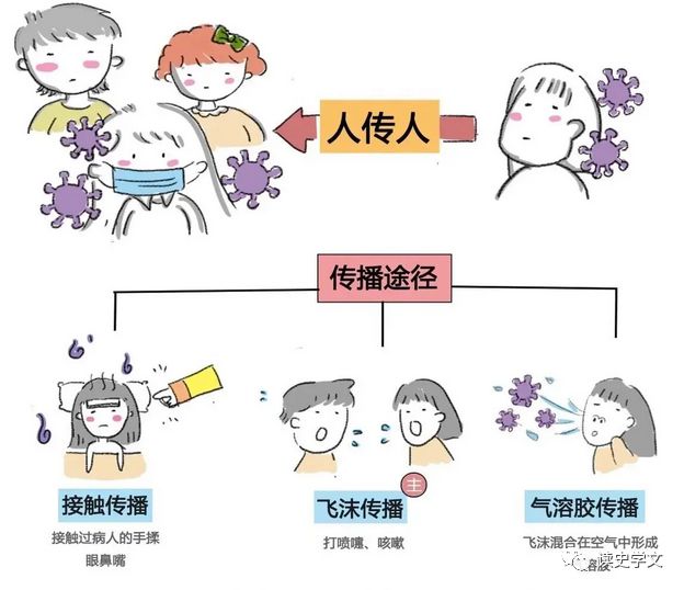 呼吸道合胞病毒的英文缩写_呼吸道合胞病毒致病机制_呼吸道合胞病毒缩写