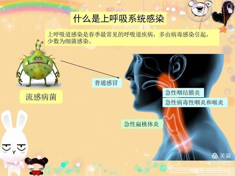 呼吸合胞病毒表现_呼吸道合胞病毒的英文缩写_呼吸道合胞病毒英文