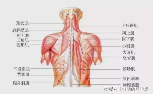 后背疼呼吸都疼是怎么回事_后背疼呼吸的时候也疼_深呼吸后背疼痛是什么原因