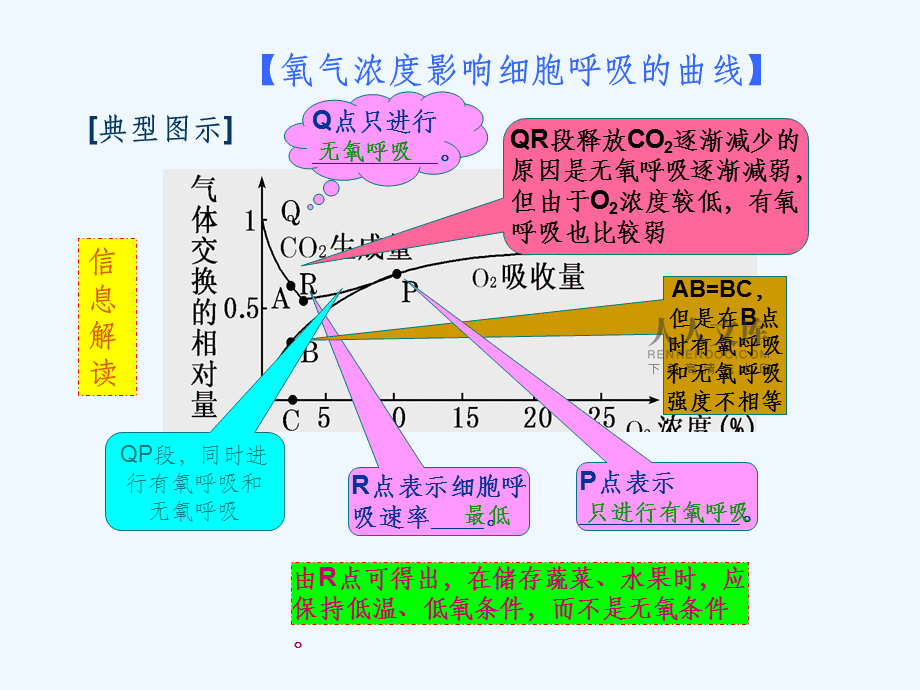 呼吸衰竭指数的意义_二型呼吸衰竭呼吸频率_呼吸衰竭时异常呼吸节律有