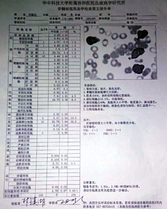 晚期白血病可以治愈吗_白血病晚期能活多久_晚期白血病能活多久呢
