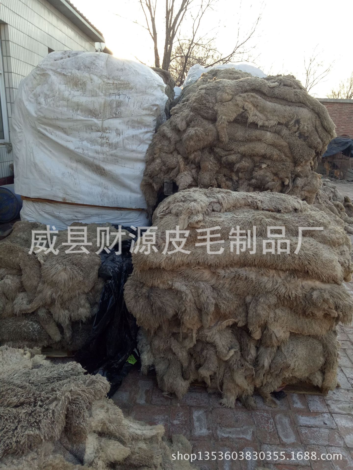 成品羊皮价格走势_成品羊皮价格_成品羊皮价格多少