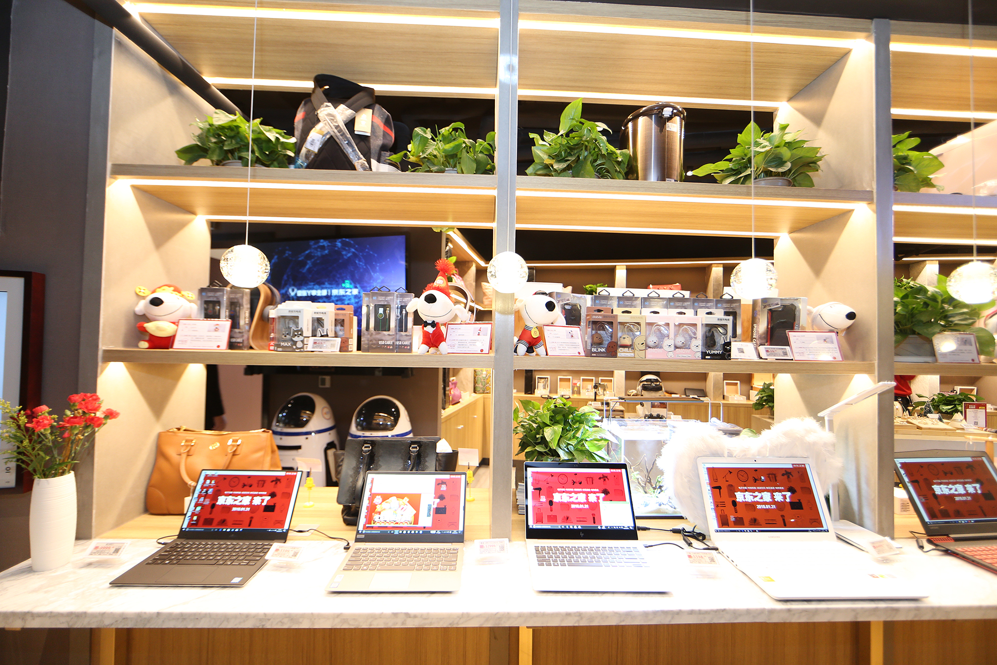 京东商城视频_ecshop京东模板教程视频_京东店铺视频