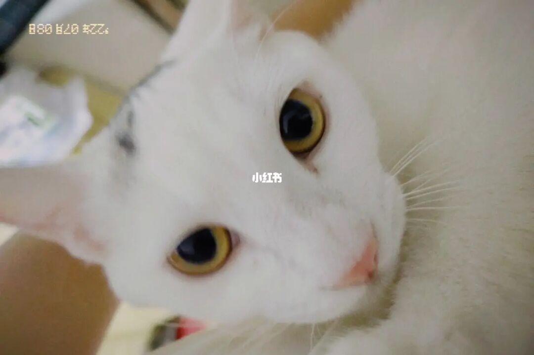 电话卡不用了不注销会有影响吗_imtoken电话_电话咨询热线