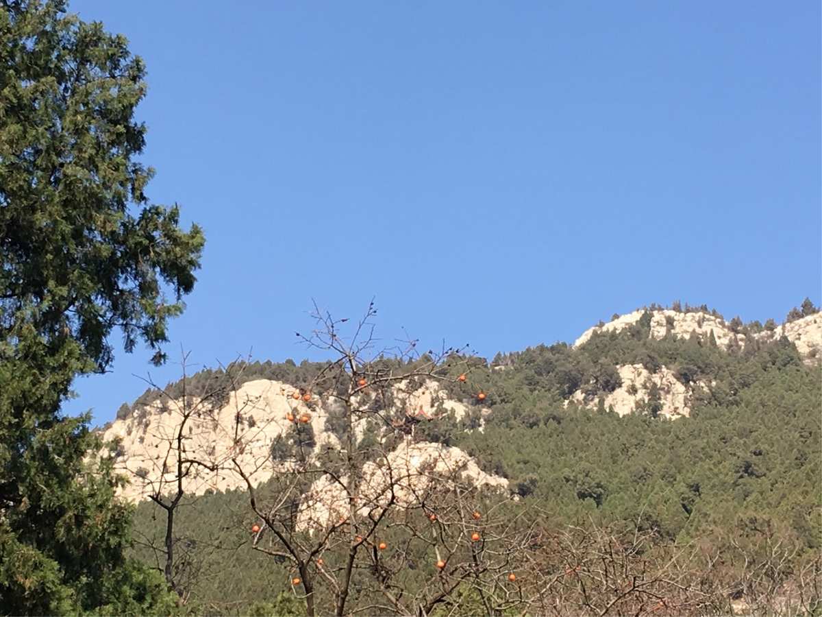 济南无影山路_济南无影山名字的来历_济南无影山是哪个区