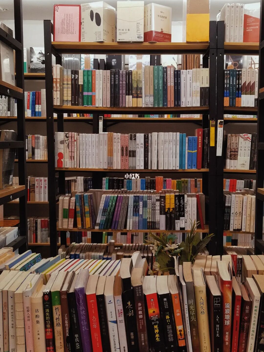 书店图书整理员面试_书店店员面试技巧_书店招聘面试题