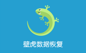 壁虎数据恢复怎么用_壁虎数据恢复软件下载_壁虎数据恢复下载安装