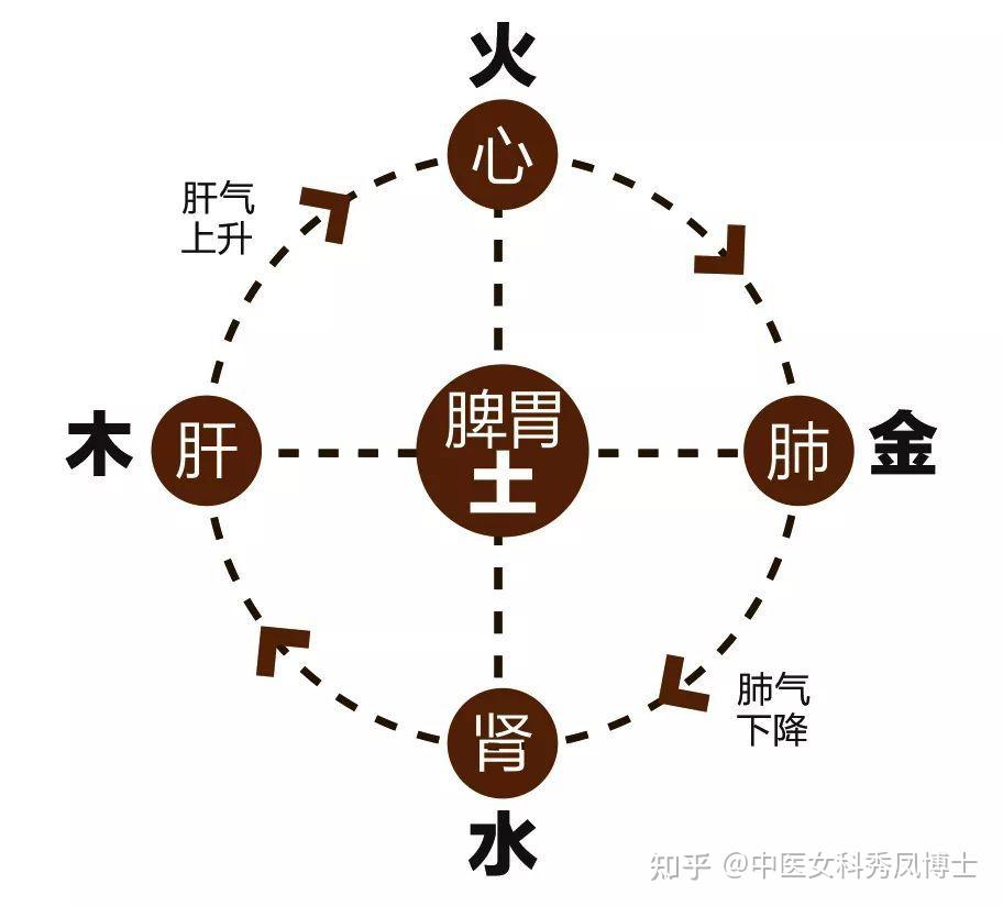胃中医治疗胃炎溃疡效果好吗_胃中医治疗胃炎溃疡的方剂_胃炎胃溃疡的中医治疗