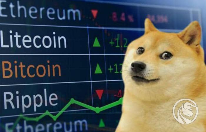 dogecoin狗狗币钱包_狗币tp钱包_tp钱包 狗狗币网络