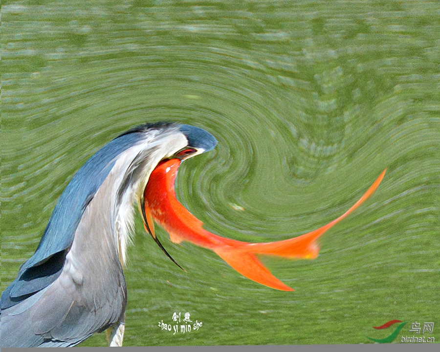 win7在哪儿安装_安装win7系统教程_安装win7卡logo