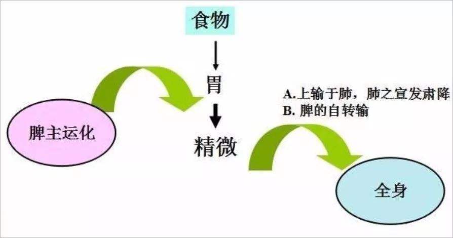 胃病治疗应该要多长时间_胃病应该要咋治疗_胃病治疗需要多长时间