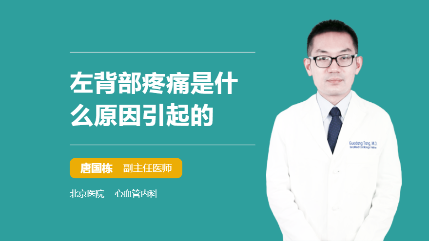 左边背呼吸疼动就疼_深呼吸时左侧背部疼痛_背部左边呼吸疼