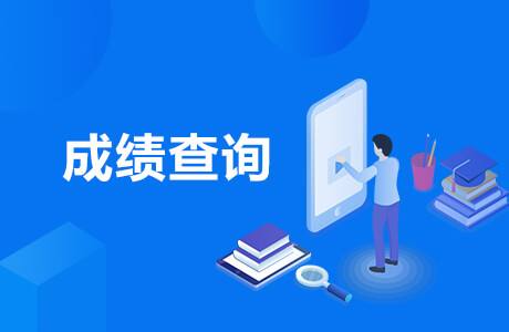 用身份证号查四级成绩_查成绩用身份证号可以吗_证查成绩身份号用什么查